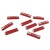 Red 16 AMP Fuse Set of 10